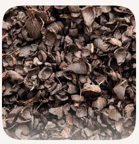 Palm kernel shells, raw material for biochar production