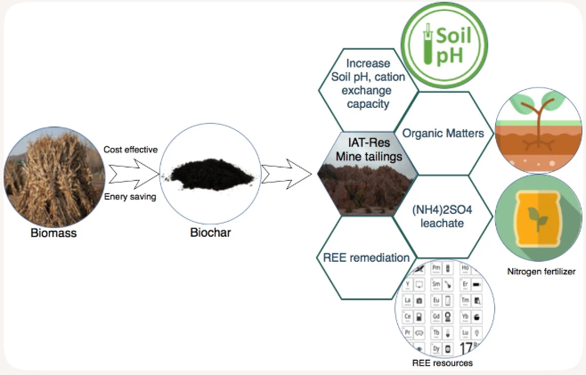 Sustainable biochar production process, from biomass to environmental remediation